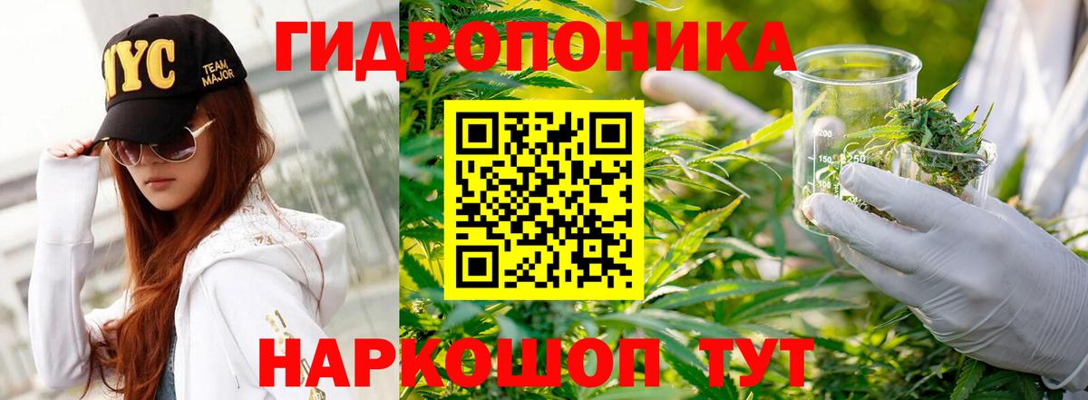 Советск  Бошки Шишки марихуана  Каннабис сатива  Шишки марихуана индика  Вход с VPN 